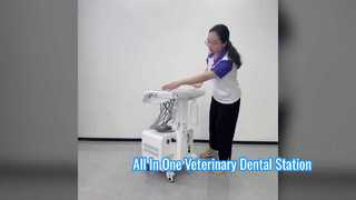 Tragbare Veterinär-Dentaleinheit mit integriertem Luftkompressor, Ultraschall-Scaler, LED-Härtungslicht, hoch