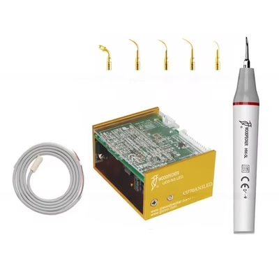 Specht N3 LED Zahnreinigungsgerät Ultraschall Zahnreiniger mit 6 Tipps