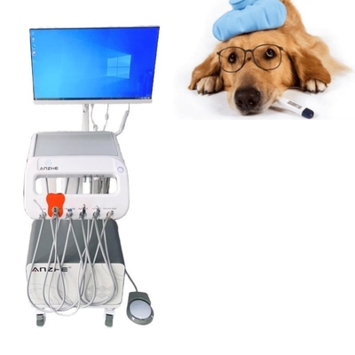 Veterinärchirurgische Zahnbehandlungseinheit mit Computer und eingebauter Luftkompressor