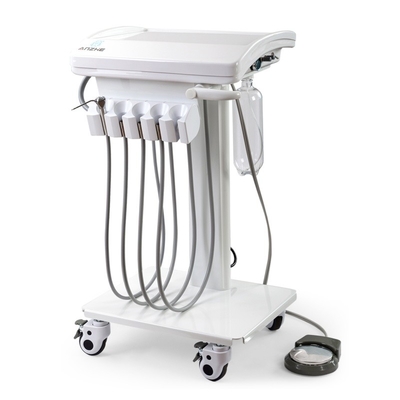 Foshan Fabrik Direkt Vet Dental System Mini Body Mobile Dental Unit Leichtgewicht Haustier Dental Operation Unit