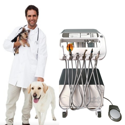 Zahnmedizinische Fabrik Zähne für Haustiere mit Luftkompressor 220V EU-Standard Portable Dental Unit