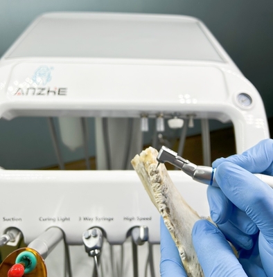 Zahnmedizinische Fabrik Zähne für Haustiere mit Luftkompressor 220V EU-Standard Portable Dental Unit