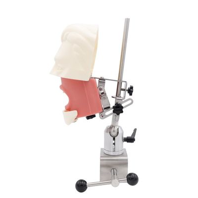 Zahnmedizinische Simulator-Ausbildungseinheit Zahnmedizinische Fakultät Simulationspraxis-System Dentalimplantat Phantomkopf