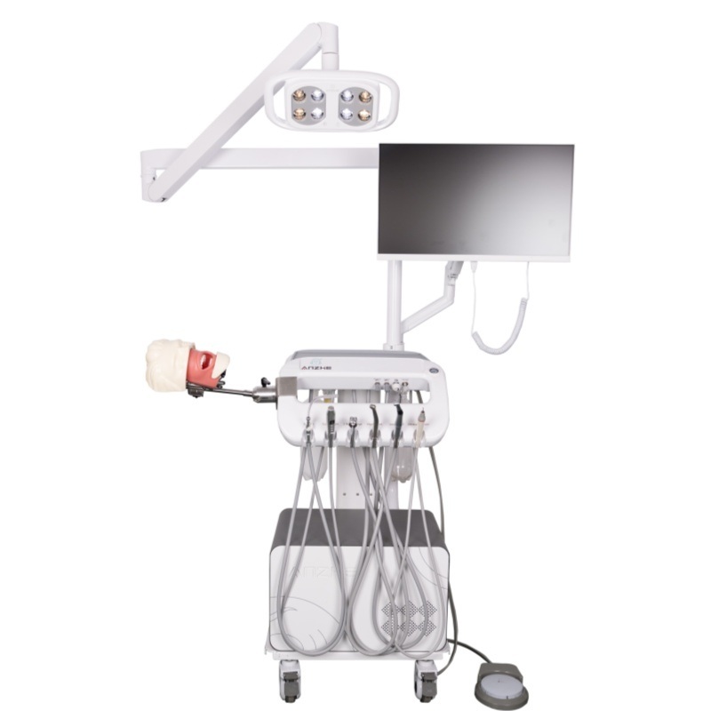 Zahnarztliche Anästhesie Extraktionsmodell Zahnärztliche Schule Anästhesie Injektionsschulungsmodell Oral Anästhesie Simulator System