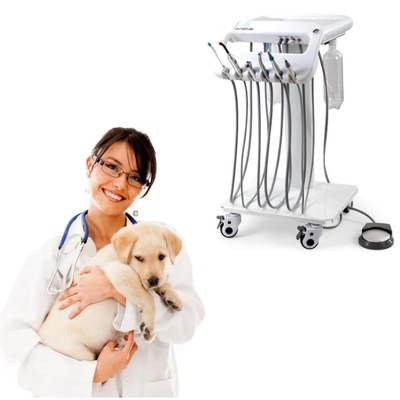 1 Jahr Garantie Veterinär Zahnbehandlungseinheit Einzigartiges Design Mobil-Zahntherapie-Maschine