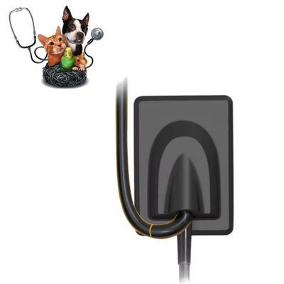 Ein guter Preis. Tierärztliche Zahntechnik Digitale Röntgenbildgebung Zähne für Haustiere Röntgensensor RVG Online