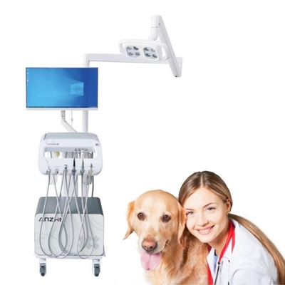Fabrik Tier Zahnbehandlung Trolley Hund und Katze Veterinär Zahnmedizin Mobilkarren Haustier Zahnbehandlung Maschine