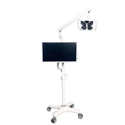 Ein guter Preis. 4 Universalräder Kalt-Leicht-Zähne-Bleaching-System Schmetterlingsform Zähne-Bleaching-Ausrüstung Online