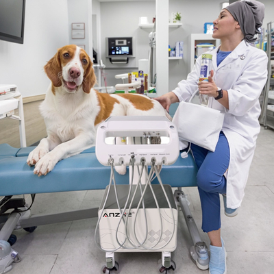 Fabrik für Veterinärgeräte in Foshan mobile Zahnversorgungseinheit Vet-Verwenden Zahnbehandlungskorb für kleine Tiere