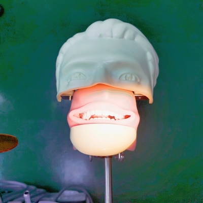 Dental Training Simulation Head Trolley Mounted Dental Phantom Head mit Zahnmodell für Bildung und Praxis