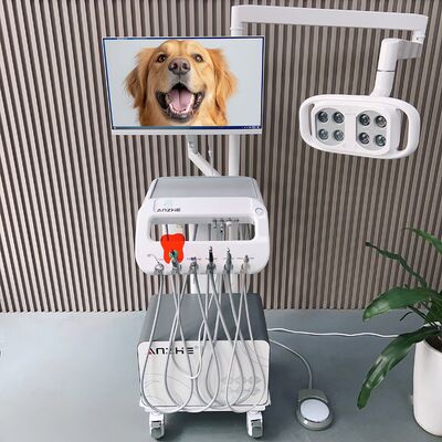 Ein guter Preis. All-in-One-Haustier-Zahnbehandlungsmaschine Mobile Veterinär-Zahneinheit mit LED-Lampe PC Mobile Veterinär-Zahnwagen für die Mundpflege von Hunden Online
