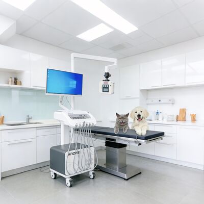 Ein guter Preis. Portable Dental Therapy Unit mit integrierter Röntgenstrahlung und PC Mobile Dental Cart mit Luftkompressor-Saugsystem Online