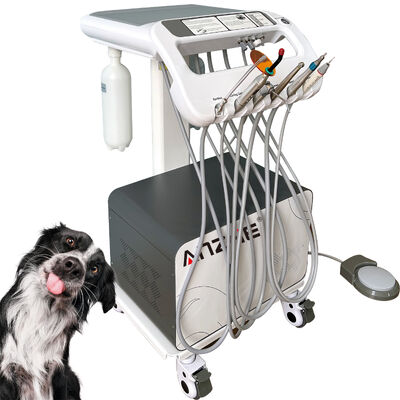 Ein guter Preis. Direkt ab Werk Veterinär-Haustier-Zahnmedizin-Mobiltrolley mit Röntgen-Einheit, tragbarer Tierarzt-Zahnbehandlungswagen, OEM-Zahnmedizin-Trolley Online