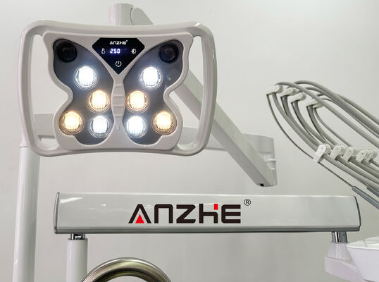 Tierärztliche Zahnbehandlungseinheit VET-PRO-Serie mit leisen 32L-Luftkompressor und 5-Halter-Instrumentsatz in 304 Edelstahl