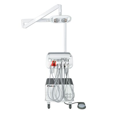 Ein guter Preis. 550 Watt Veterinär-Zahnen-Einheit mit LED-Betriebslicht und eingebauter Luftkompressor für mobile Haustier-Zahnenwagen Online