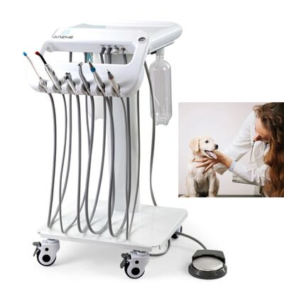 Ein guter Preis. Portable Veterinär-Zahnmaschine mit 550W Leistung 10L Edelstahl-Luftbehälter und 38DB Lärmpegel für mobile Zahntherapie Online
