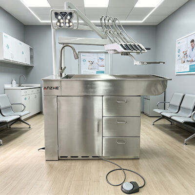 Professional Veterinary Dental Treatment Unit with Silent 32L Air Compressor and 5-Holder Instrument Suite in 304 Stainless Steel
