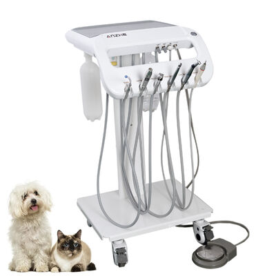 Ein guter Preis. Fabrikdirekter Veterinär-Tragbarer Dentalwagen für Hunde & Katzen | Mobiler Tierzahnwagen mit Ultraschall-Scaler, Absaugsystem & LED-Härtungslicht | OEM/ODM Zahnarztgeräte für Tierärzte Online
