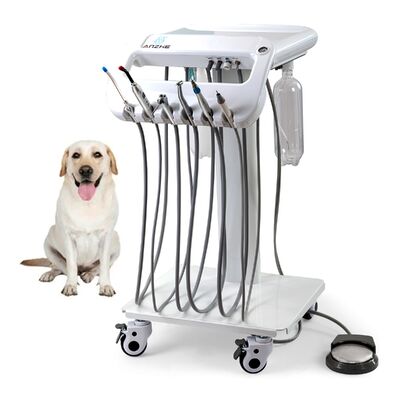 Ein guter Preis. Grundlegender tragbarer Veterinärzahnwagen mit 5 Schläuchen∙∙ Mobiler zahnärztlicher Arbeitsplatz für Tierkliniken, anpassbares Upgrade verfügbar Online