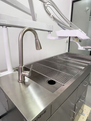 Veterinärmedizinische Behandlungseinheit mit LED-Bleaching-Schmetterlingslampe, 32 l ölfreier Luftkompressor, Veterinärzahnmedizinischer Arbeitsplatz aus Edelstahl