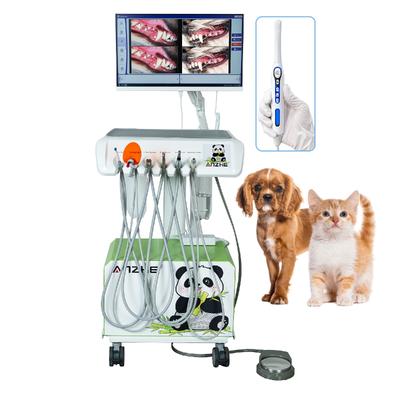HD-Oralkamera Tierärztliche Zahnärztliche Arbeitsstation All-in-One PC Win10 Mobile Vet Dental System Plug & Play komplette Tierärztliche Zahnlösung