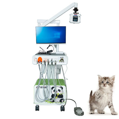 Ein guter Preis. Original-Fabrik Veterinär Digital Intraoral Sensor Plug-and-Play voll ausgestattet hochauflösende Röntgenaufnahmen für Haustierkliniken Online