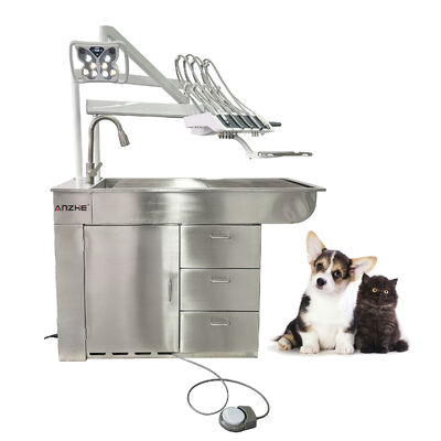 Fabrik-direkte Veterinär-Zahnstation mit LED-Bleichlampe 32L Ölfreier Kompressor aus Edelstahl All in One Veterinär-Zahnstation