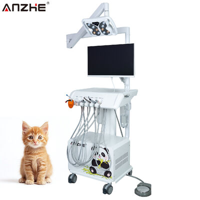 Ein guter Preis. All-in-One-System mit HD-Intraoralkamera, LED-Schmetterlingslampe und Fenstersteuerungssystem für Tierkrankenhäuser Online