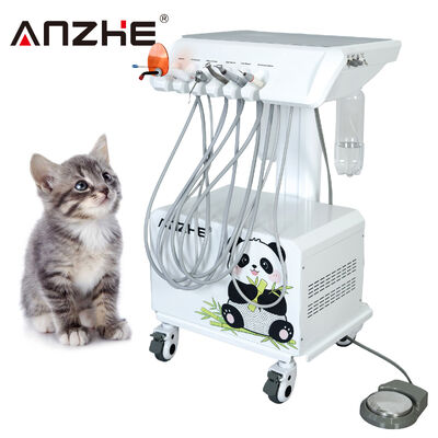 All-in-one tragbare Veterinär-Zahnstation mit Luftkompressor Ultraschall-Skalierer LED-Heilung Lichtsuctionssystem mobile Haustier-Zahn-Ausrüstung für Tierkrankenhaus