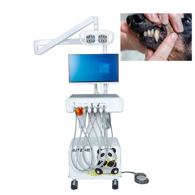 Tierärztliche Arbeitsstation mit HD-Intraoralkamera, LED-Untersuchungslicht und eingebautes Computersystem für Tierkrankenhäuser