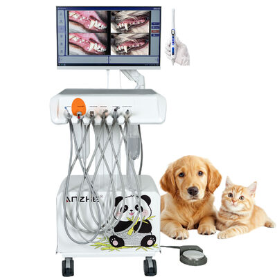 Ein guter Preis. Tragbares Veterinär-Dentalgerät mit HD-Oral-Kamera und integriertem All-in-One-Computer-Dental-System für Tierkliniken Online