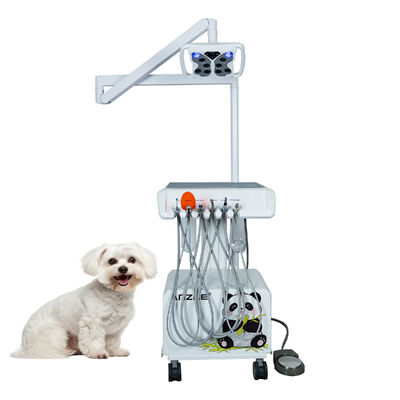 Ein guter Preis. Portable Veterinary Dental Unit mit Schmetterling LED-Lampe eingebaut in Luftkompressor Ultraschall Scaler LED Heilung Licht Saugsystem für Tier Zahnkliniken Online