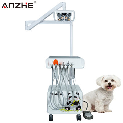 Ein guter Preis. Tragbare Veterinär-Dental-Einheit mit integrierter Butterfly-LED-Lampe, Luftkompressor, Ultraschall-Scaler, LED-Härtungslicht und Absaugsystem, mobiles Tier-Dental-Arbeitsplatz Online