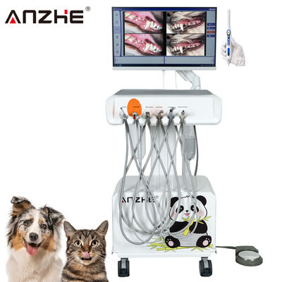 Fabrikdirektes tragbares veterinärmedizinisches Dentalgerät mit HD-Oral-Kamera und 23,8-Zoll-Touchscreen-All-in-One-Computer mit integriertem Luftkompressor, Scaler und Lichthärtungsgerät für Tierzahnkliniken