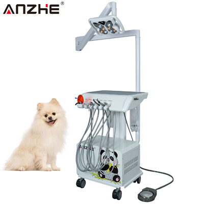 Ein guter Preis. Portable Veterinary Dental Unit mit Schmetterling LED-Zahnlampe eingebaut in Luftkompressor Saug Scaler Heilung Licht für Tier Zahnkliniken online