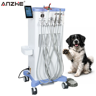 Ein guter Preis. Mobile Veterinär-Dentalstation mit eingebautem Elektromotor, Kompressor, Absaugsystem, Ultraschall-Scaler und LED-Härtungslicht für Tierzahnkliniken online