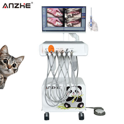 Ein guter Preis. Portable Veterinary Dental Unit mit HD-Oralkamera und All-in-One-Computer eingebaut in Luftkompressor Veterinary Dental Workstation für Tierzahnärzte online