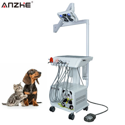 Ein guter Preis. Portable Veterinary Dental Unit mit Butterfly Dental Lamp Mobile Veterinary Dental Workstation mit eingebauten Luftkompressor Scaler Heilung Licht und Saugsystem online