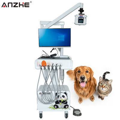 Ein guter Preis. Tierärztliche Arbeitsstation mit digitalen Röntgensensoren HD-Oralkamera All-in-One-Computer Mobile Tierärztliche Behandlungseinheit für Tierkliniken online