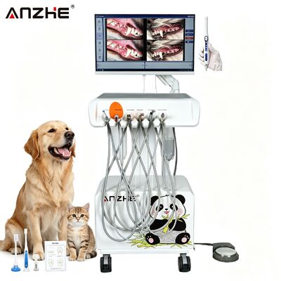 Ein guter Preis. Portable All-in-One Veterinary Dental Workstation mit HD Oral Camera Silent 38dB Ölfreier Kompressor und integriertes Saugsystem für Tierkrankenhaus und Tierklinik online