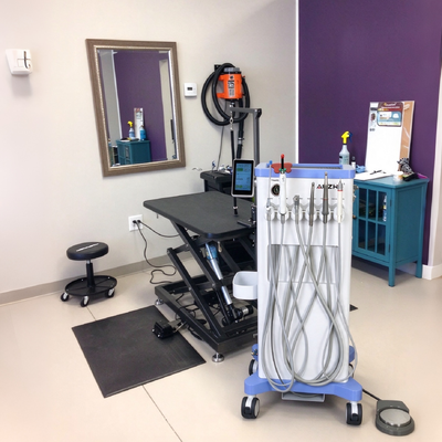 Ein guter Preis. 550 W Portable Veterinary Dental Unit mit 0,8 MPa Druck und 38 dB Lärm Veterinary Dental Cart online