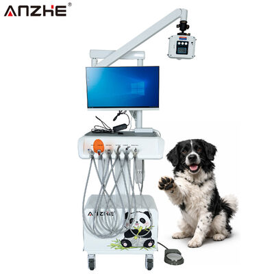 Ein guter Preis. Integrierte Dentalstation für Tierärzte mit digitaler Röntgensensor-HD-Oralkamera und All-in-One-Computer online