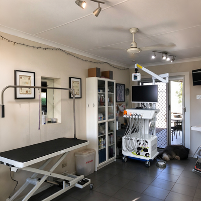 Ein guter Preis. 550W Veterinärmedizinische Dentalstation mit 0,8 MPa Druck und 58 dB Geräuschpegel für Tierzahnkliniken online