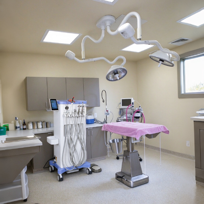 Ein guter Preis. 550W Tragbarer Veterinär-Dentalwagen mit 0,8 MPa Druck und 38 dB Geräuschpegel für tierärztliche Dental-Workstations online