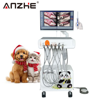 Ein guter Preis. Portable Veterinary Dental Unit mit HD-Intraoralkamera All-in-One-Computer und leisen, ölfreien Luftkompressor online