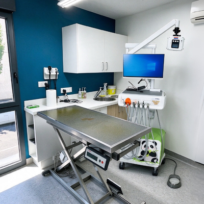 Ein guter Preis. All-in-One-Arbeitsstation für Tierärzte mit einem digitalen Röntgensensor und einer Mundkamera für Tierkliniken online